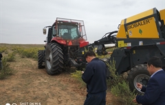 2019年，內(nèi)蒙奈吉牧草有限公司，采購(gòu)一臺(tái)Anderson檸條平茬機(jī)